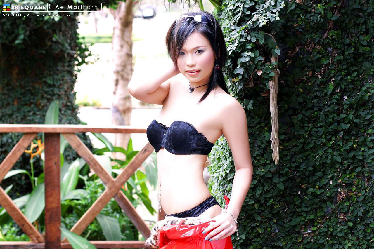 澳门新葡京世界模特下载网