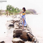 Chan Ching Ming Gallery-1 88Square models