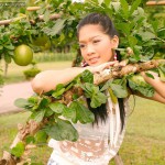 Guitar Anongratee Gallery-4 88Square models