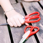 Punce Marisa Gallery-1 88Square models