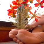 Amara Taroon Gallery-3 88Square models