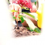 Orn Ornicha Gallery-1 88Square models