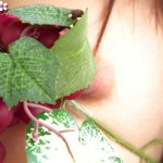 Atom Hillson Gallery-2 88Square models