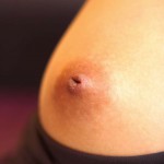 Bulma Karder Gallery-2 88Square models