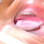 Dollar Dolaya Gallery-2 88Square models