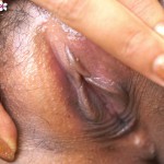 Piztar Puzo Gallery-3 88Square models