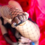 Amara Bhunawat Gallery-3 88Square models