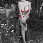 Jordan Carver Red Influence
