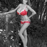 Jordan Carver Red Influence