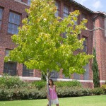 Maria turova registers for class