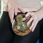 Haley gladwell dorm days