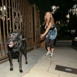 Jules hartley the storyteller