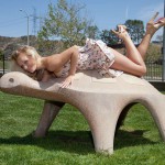 Sparrow morris sunshine and grass