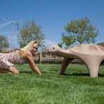 Sparrow morris sunshine and grass