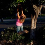 Marketa pechova and a pink sunset