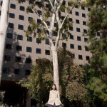 Haley gladwell frosh adventure