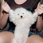 Emily addison is more than glamour