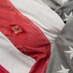 Ashlee hills the american w bonus