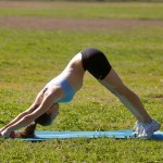 Isabel carvajal parks and rec