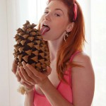 Emily archer pine cone lodge