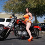 Noelle easton halloween citties