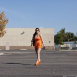 Noelle easton halloween citties