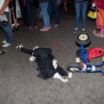 Gabrielle klein halloween recap