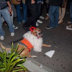 Gabrielle klein halloween recap