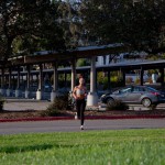 Whitney westgate love you sun