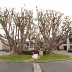 Gabrielle klein european vegas