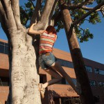 Bree daniels book by cover