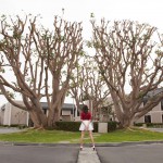 Gabrielle klein european vegas