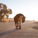 Gloria paquette mare island