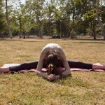 Ingrid hayes pale fire