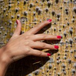 Luna castro visits flynt