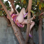 Natalie moore summer squash