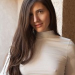 Irene quinn a stone fox