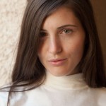 Irene quinn a stone fox