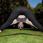 Bree abernathy ginger yoga