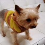 Naho Ozawa & Hitomi Hayasaka