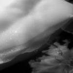 Canadian Amateurs Magic