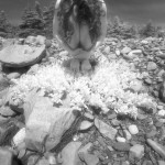 Canadian Amateurs Magic