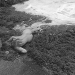 Canadian Amateurs Contour