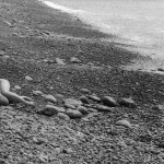 Canadian Amateurs Contour