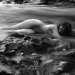 Canadian Amateurs Contour