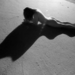 Canadian Amateurs Contour