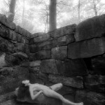 Canadian Amateurs Contour