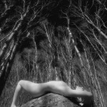 Canadian Amateurs Contour