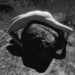 Canadian Amateurs Contour