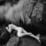 Canadian Amateurs Contour